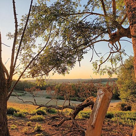 Gite Aux Bois D'En Temps Lunas  Zimmer foto